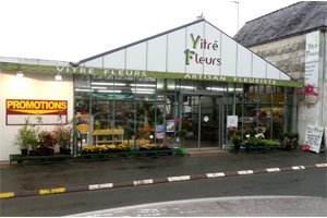 VITRE FLEURS