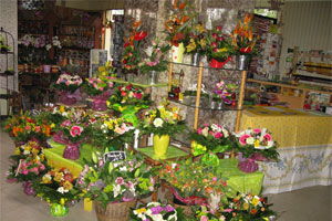 AUX FLEURS POUANCEENNES