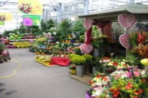 JARDINERIE JUIGNET