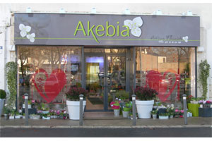 AKEBIA