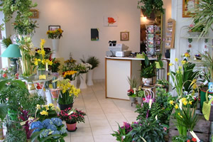 L ORCHID�E