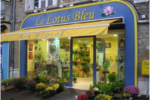 LE LOTUS BLEU