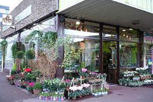 AROME NATURE