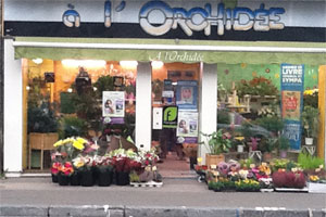A L ORCHIDEE