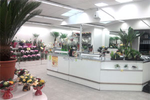 FLORAISON SARL FLEURS DE RY