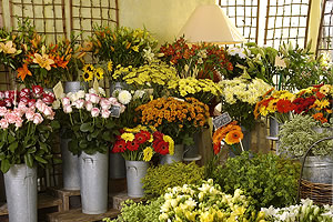 FLEURS ET SENS