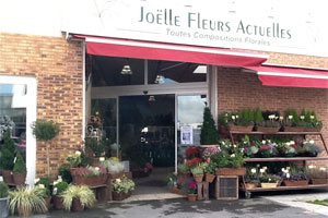 JOELLE FLEURS ACTUELLES