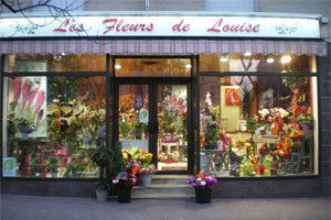 LES FLEURS DE LOUISE TRAXLER
