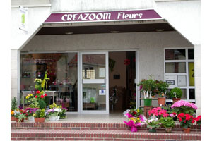 CREAZOOM FLEURS