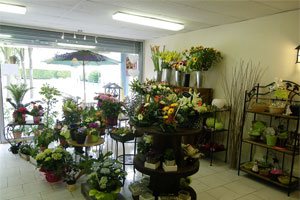 LE JARDIN DE STELLY      