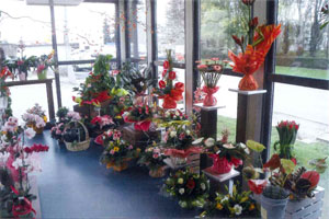 WASSY FLEURS