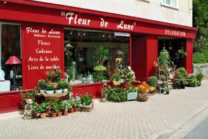 FLEUR DE LUNE