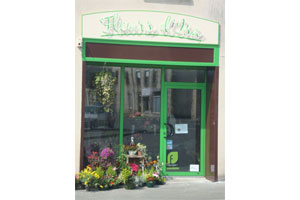 FLEURS D ISA
