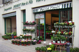 AUX FLEURS DE FRANCE