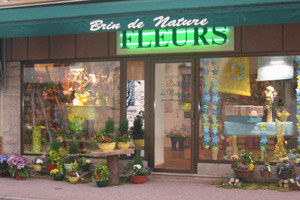 BRIN DE NATURE
