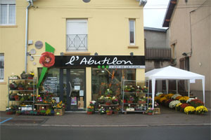 L ABUTILON