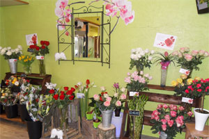 AU PAYS DES ANGES FLEURIS