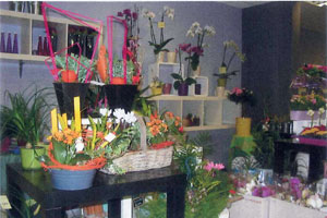 JARDINERIE DES PRAIRIES