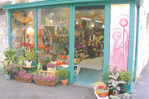 AUX ILES FLEURIES