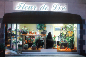 FLEUR DE LISE