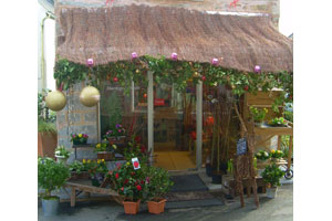 BAMBOU FLEURS