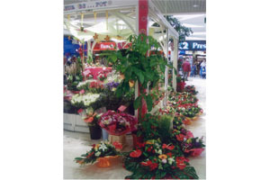A FLEUR DE POT