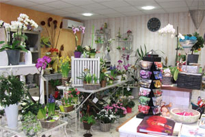 AU FIL DES FLEURS