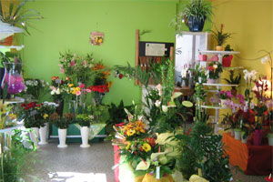 AUX FLEURS DE ROHAN