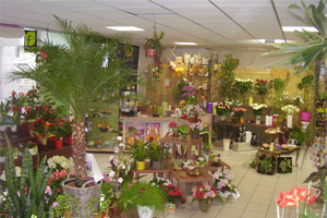ENVIE DE FLEURS