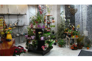 AUX FLEURS DU CHATEAU