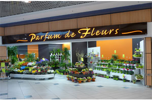 PARFUM DE FLEURS