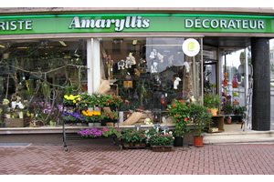 L AMARYLLIS