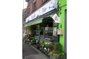ANCOLIE FLEURS ET DECO