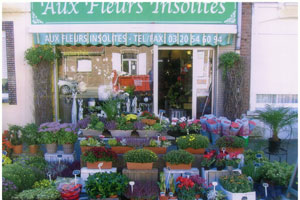 AUX FLEURS INSOLITES