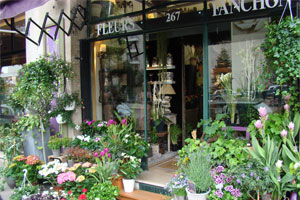 FANCHON FLEURS 