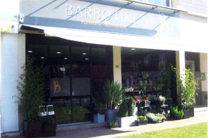 BARBOTINE OD FLEURS