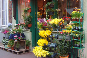 ALLO FLEURS