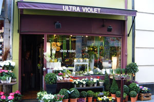ULTRA VIOLET