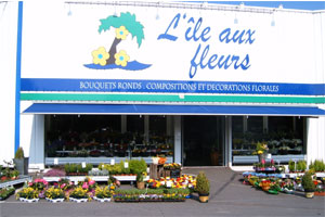 L ILE AUX FLEURS