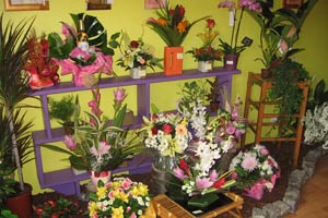LEGENDES FLORALES