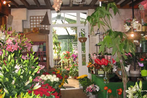 FLEURS DE CIRES