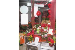 LE KIOSQUE FLEURI