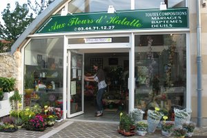 AUX FLEURS D HALATTE
