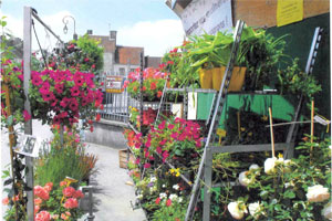BELLEME CONCEPT JARDIN