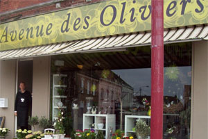 AVENUE DES OLIVIERS      