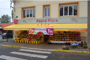 RAPIDFLORE 