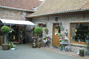 BOUTIQUE DE LISON