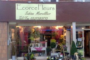 ECORCES FLEURS