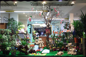PASSION FLORALE