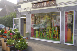 ABUTILON